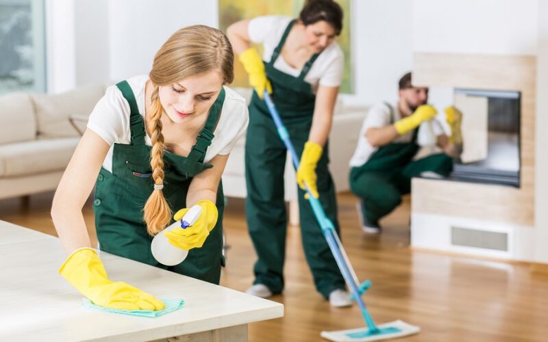 Professional Cleaners for Your Busines