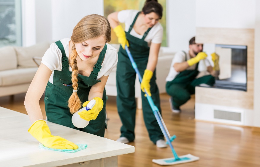 Professional Cleaners for Your Busines