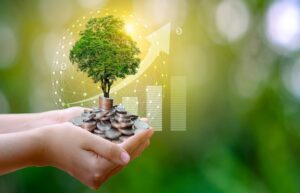 socially responsible investing advisor