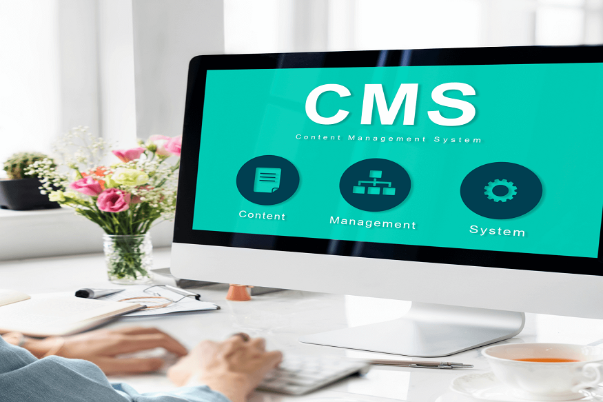 CMS for media company